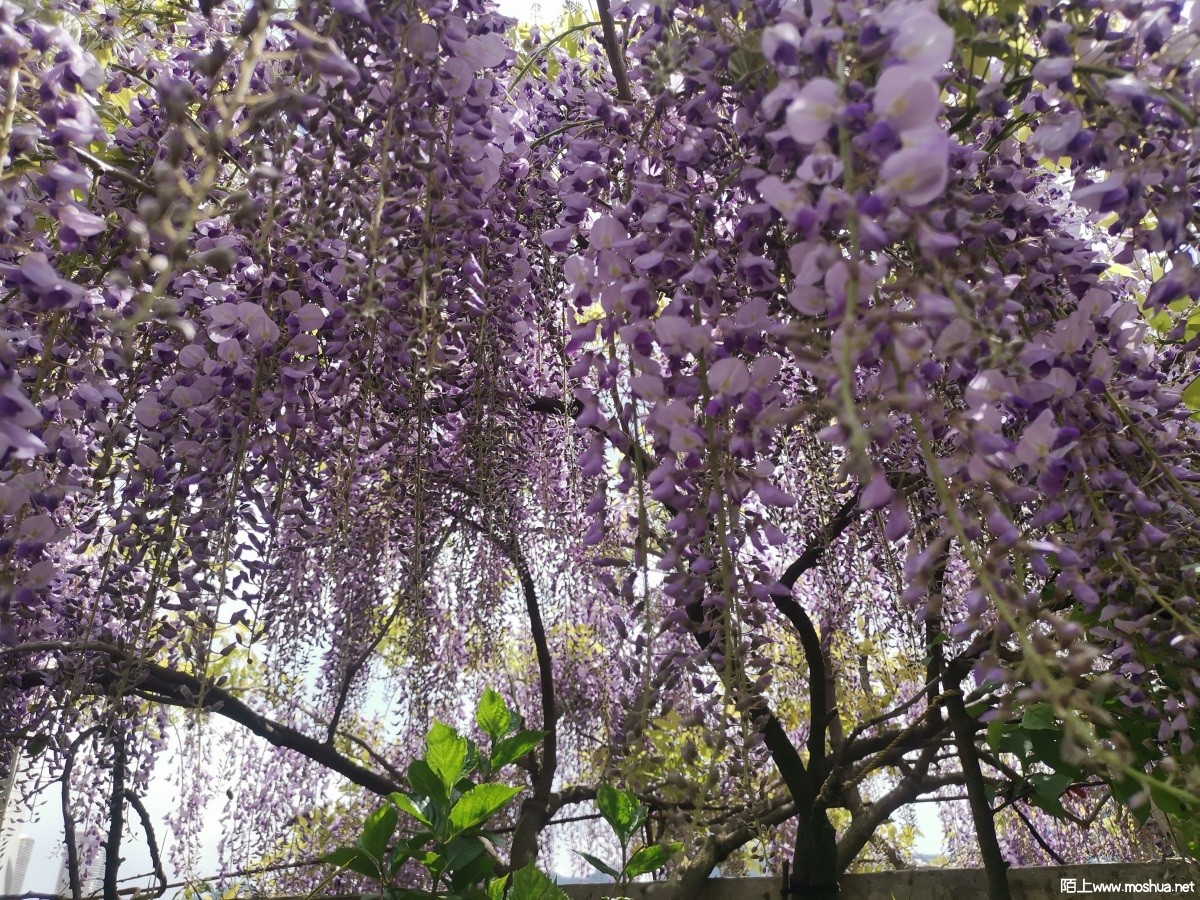 IMG_20230415_120115.jpg