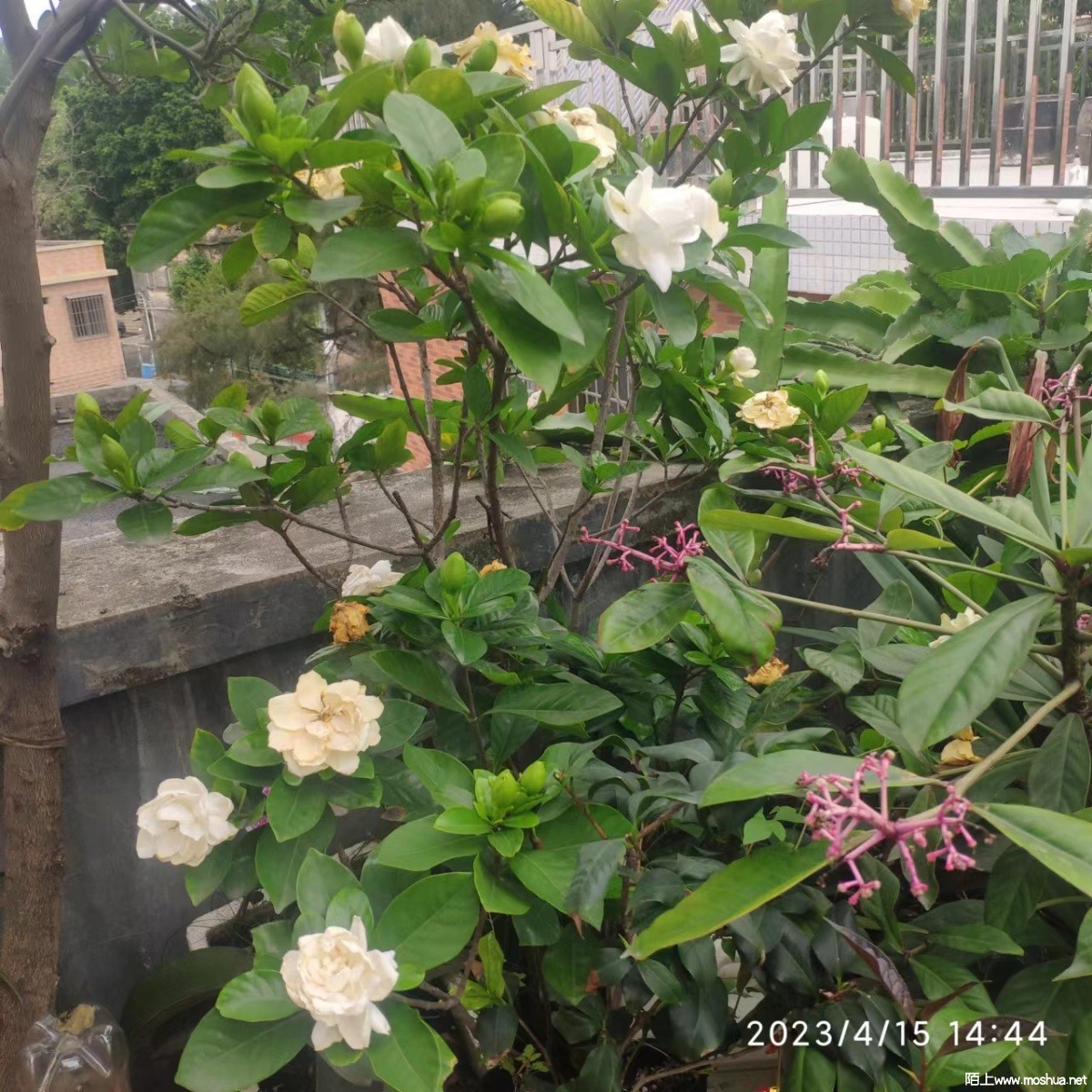 ΢��ͼƬ_20230415205315.jpg