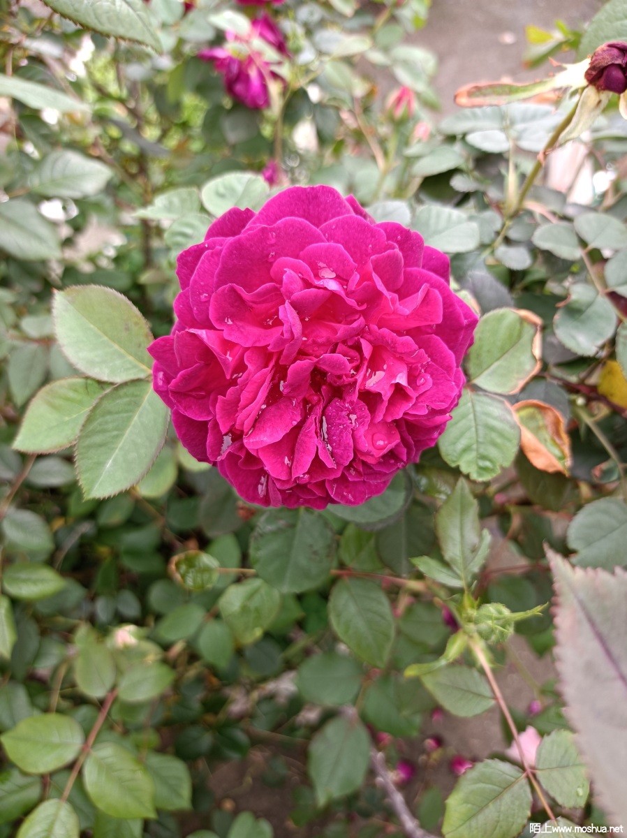 IMG_20230415_084429.jpg