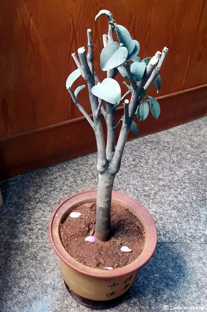 ���غ�˹ (117).jpg
