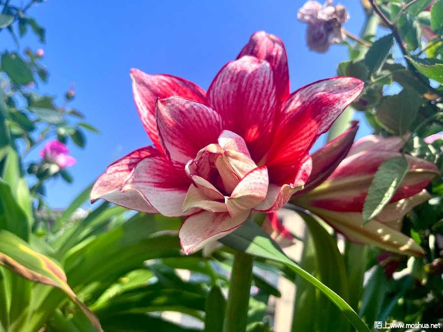 A9A01219-3705-4E98-B279-7FC3958E22BA.jpeg