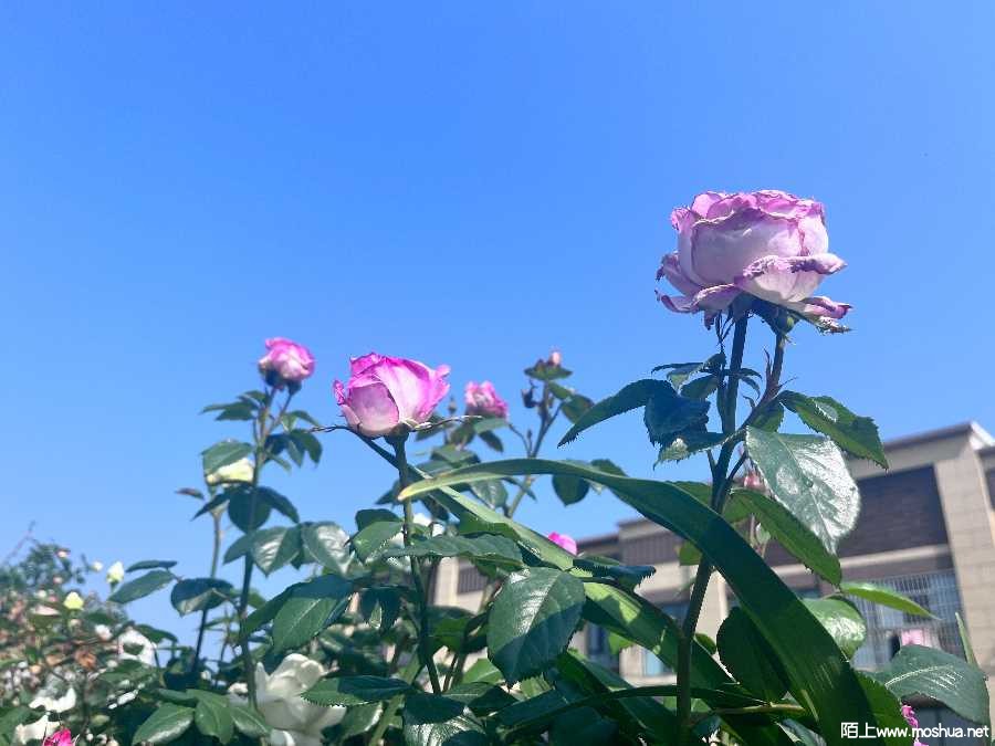 22C5BB93-C193-4902-ADB1-6717BD740A91.jpeg