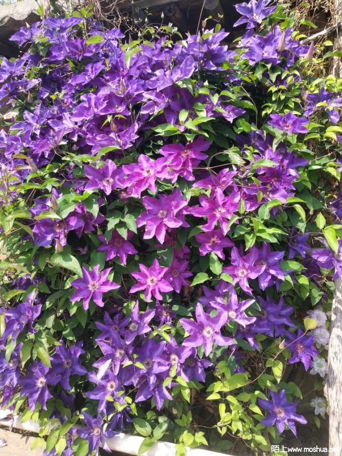 IMG_20230512_095600.jpg