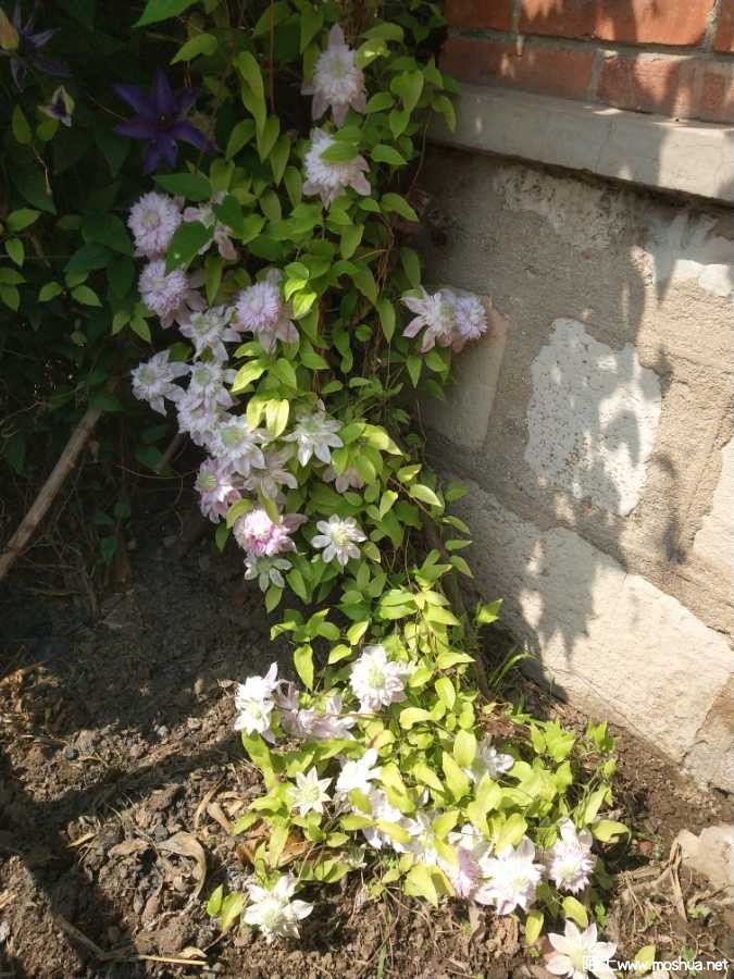 IMG_20230512_095620.jpg