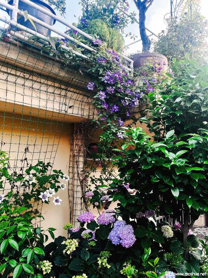 4BB9D313-E72A-4369-A295-87276E4F10CA.jpeg