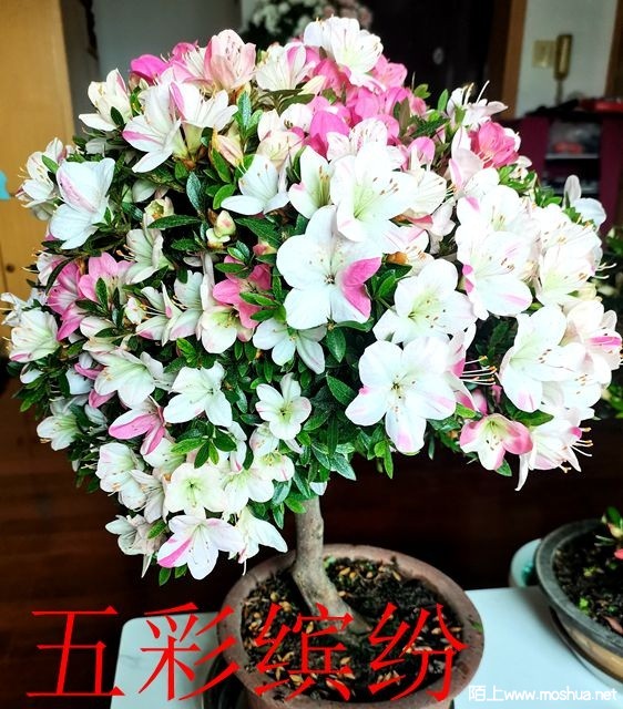 IMG_20230512_092350_����.jpg