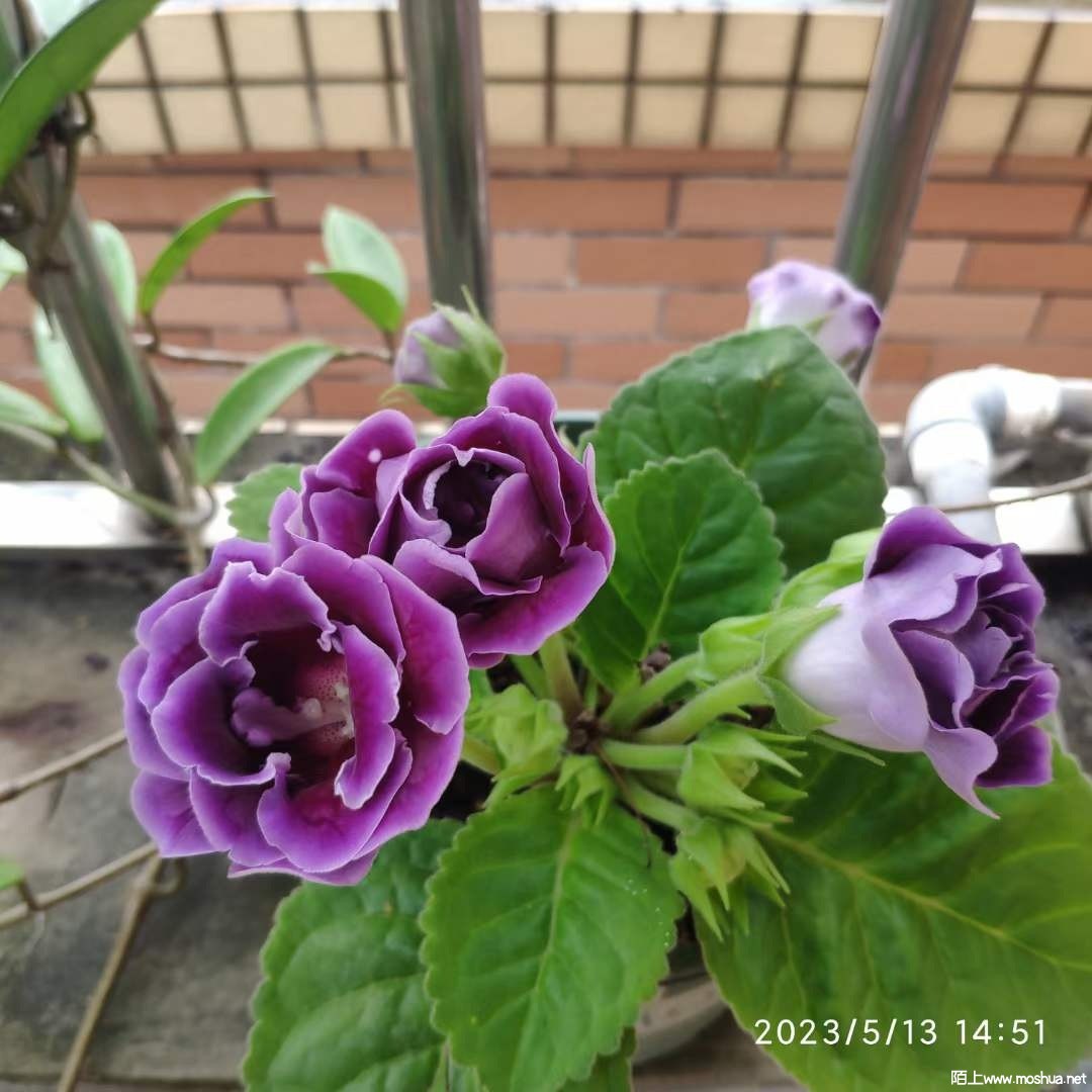 ΢��ͼƬ_20230514095608.jpg