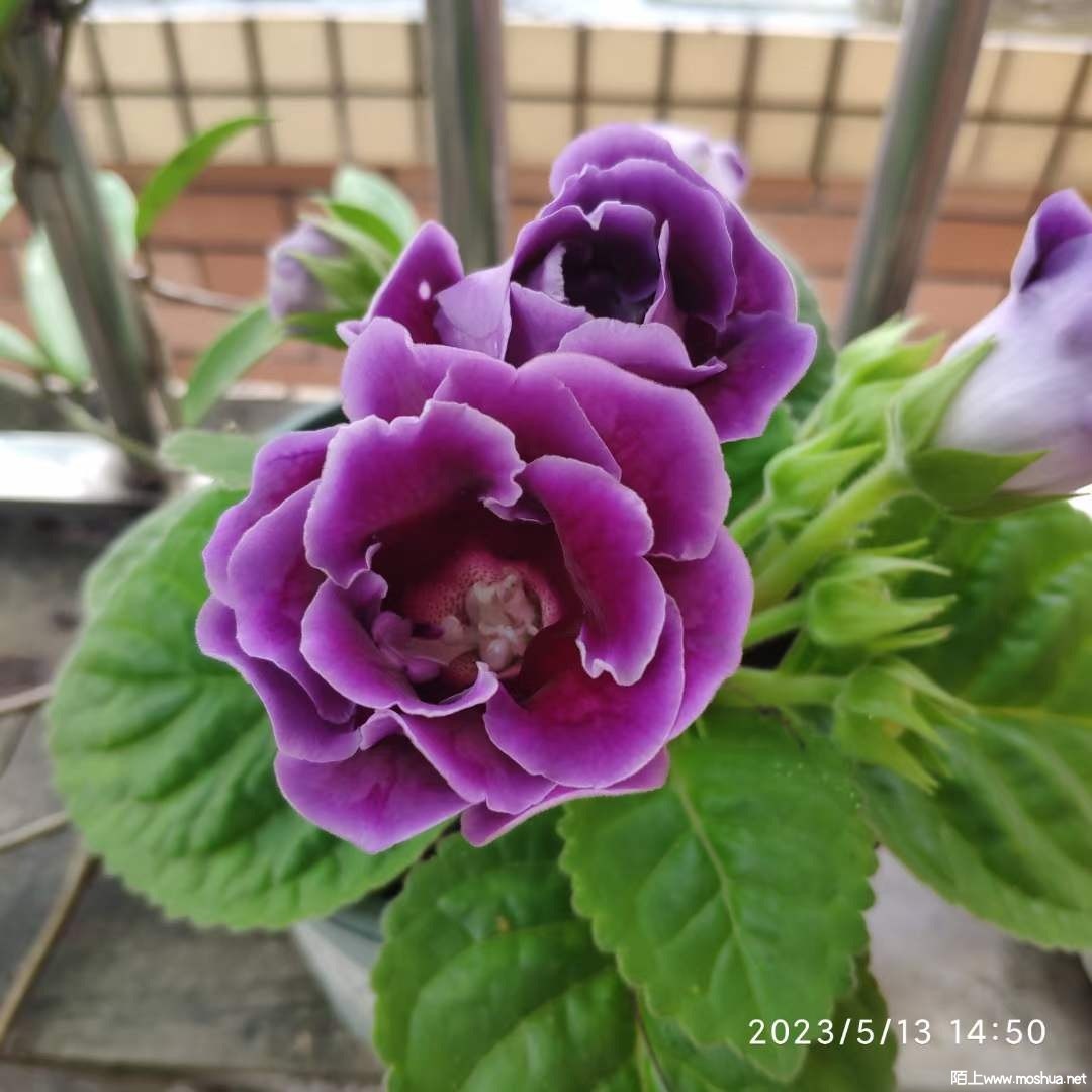 ΢��ͼƬ_20230514095623.jpg