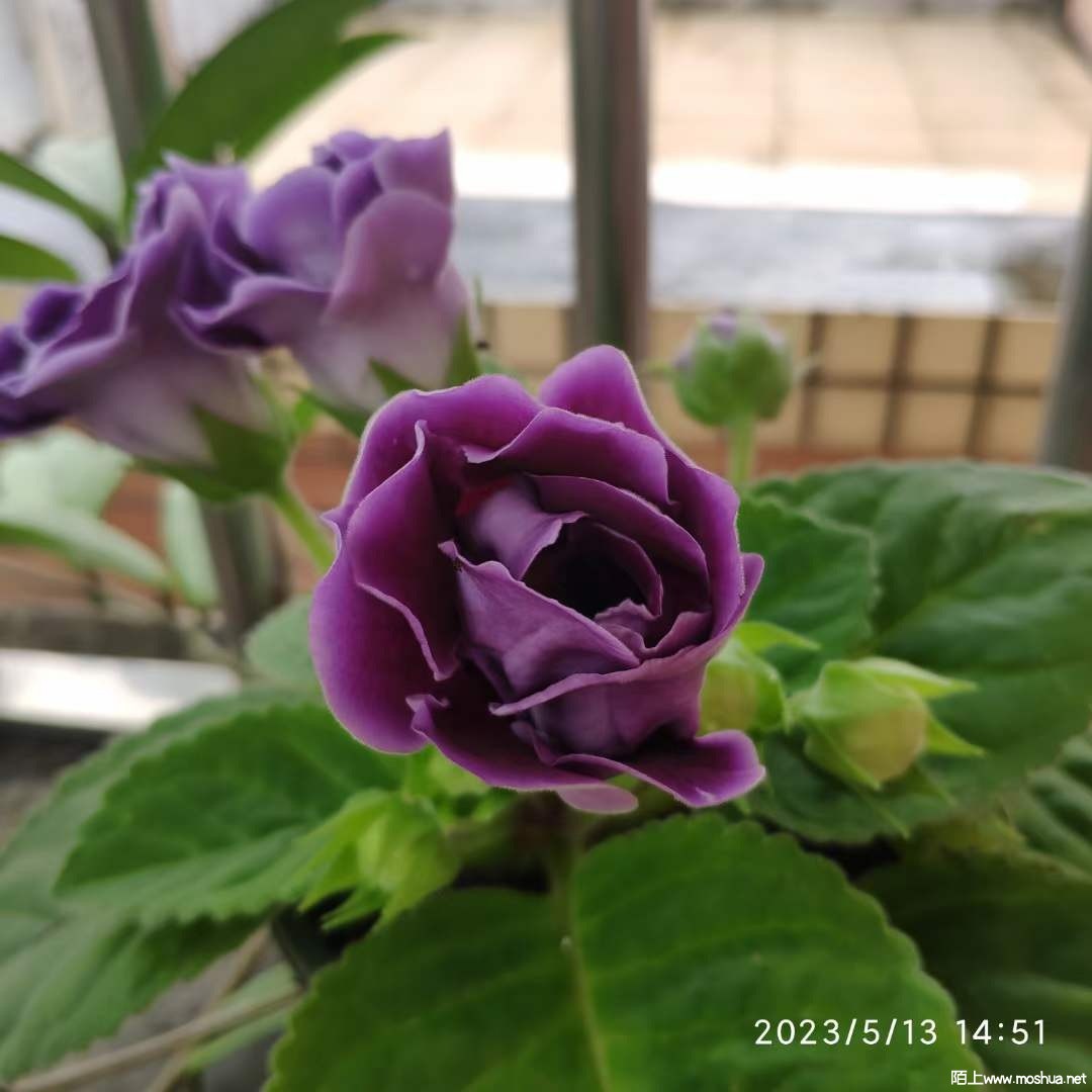 ΢��ͼƬ_20230514095617.jpg
