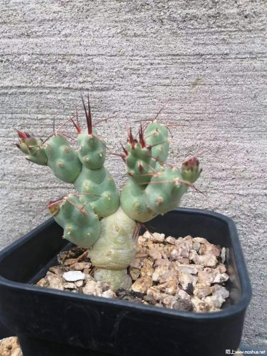 ΢��ͼƬ_20230522112844.jpg