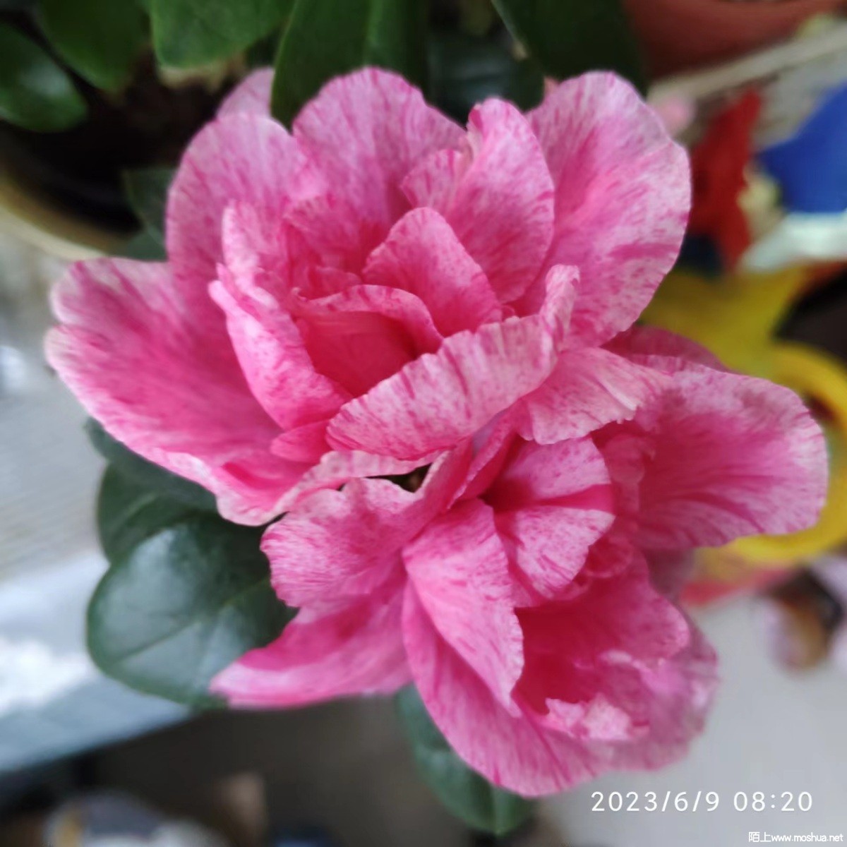 ΢��ͼƬ_20230609091848.jpg