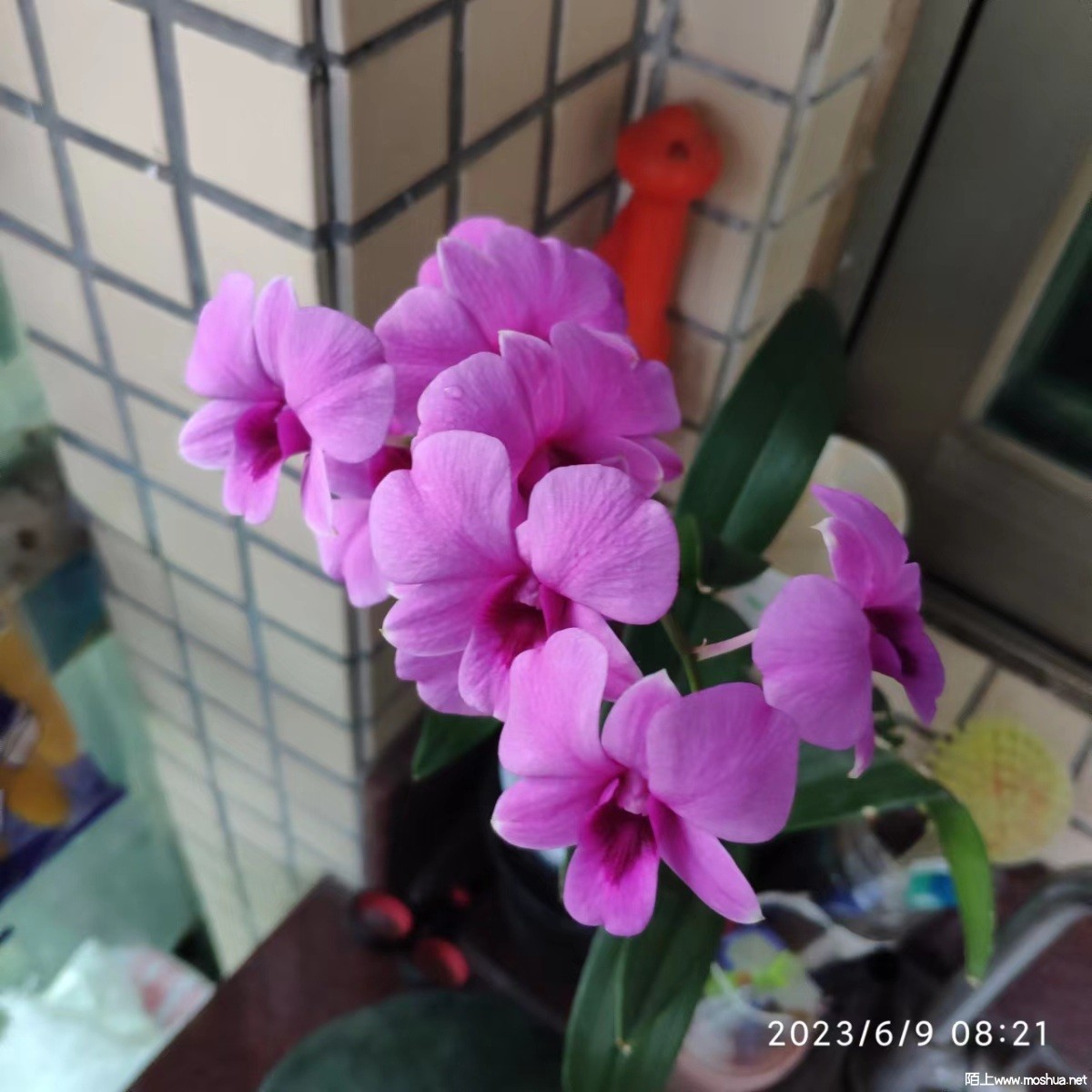 ΢��ͼƬ_20230609091905.jpg
