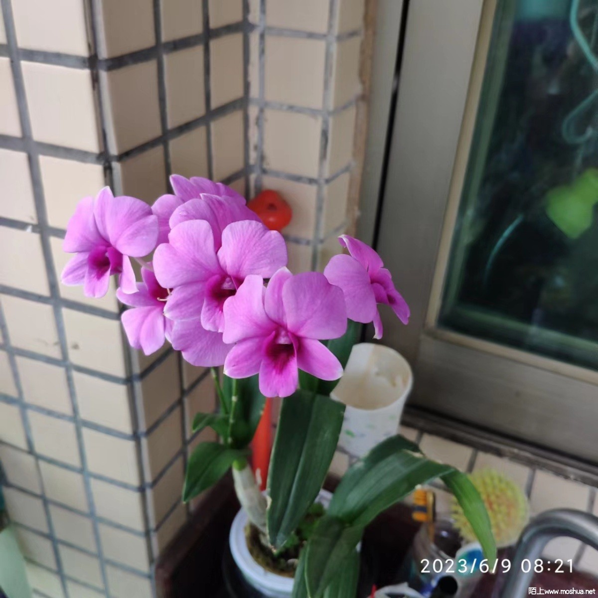 ΢��ͼƬ_20230609091913.jpg
