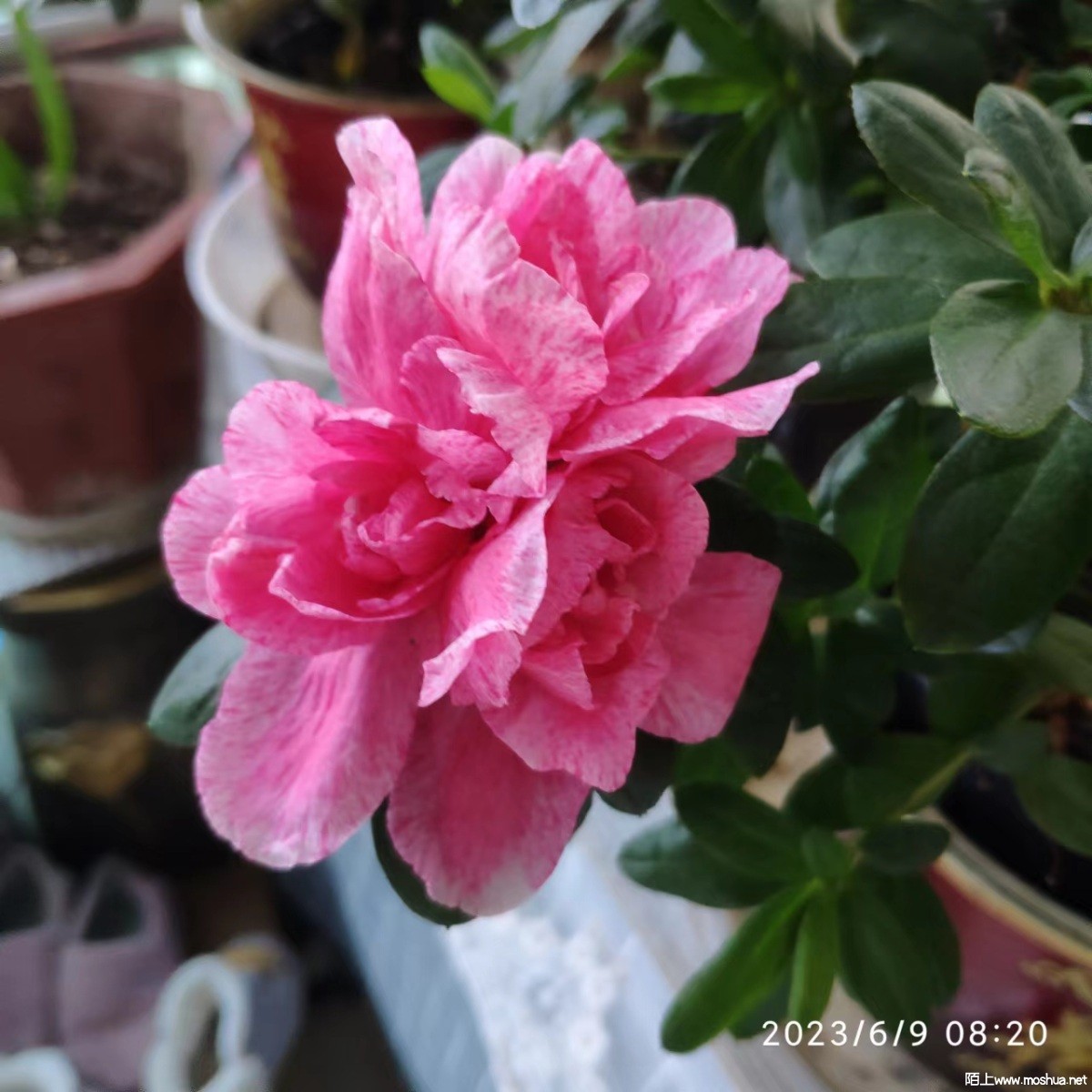 ΢��ͼƬ_20230609091917.jpg