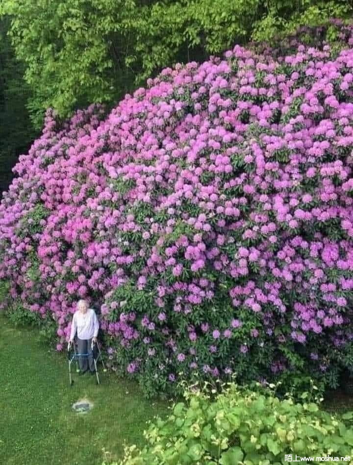 355168337_226693773541840_6417121434975971861_n.jpg