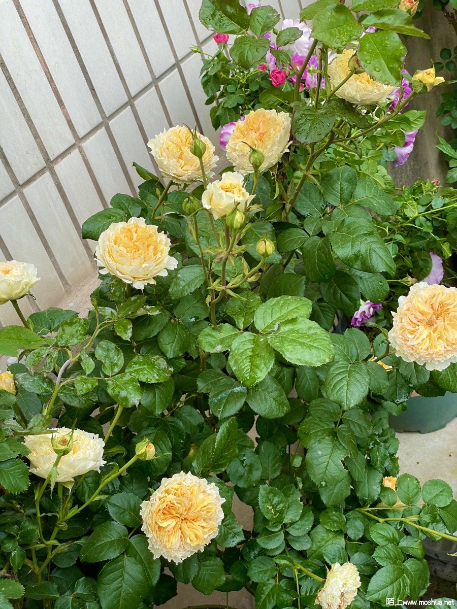 IMG_0498.jpeg