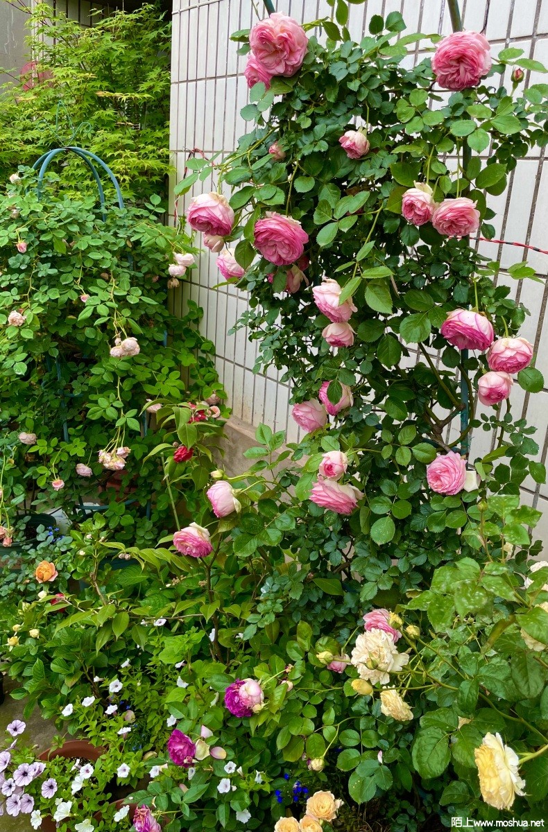 IMG_0636.jpeg