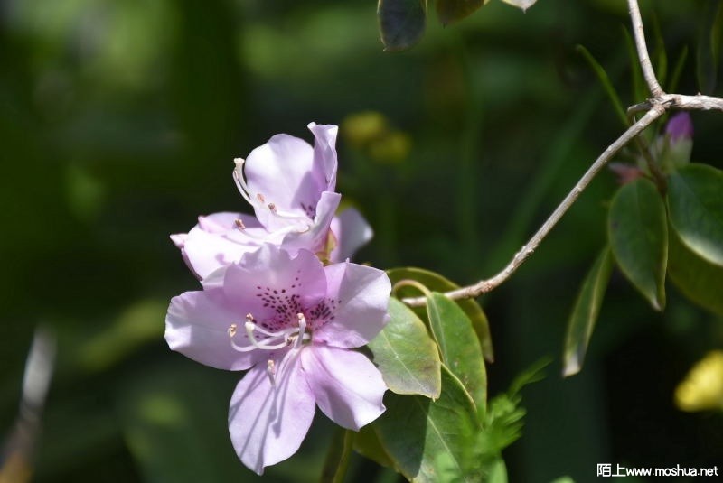DSC_00580058.JPG