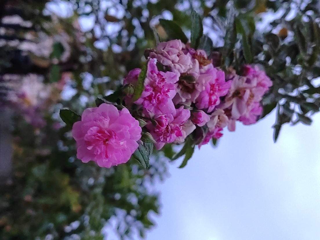 IMG_20230812_191111.jpg