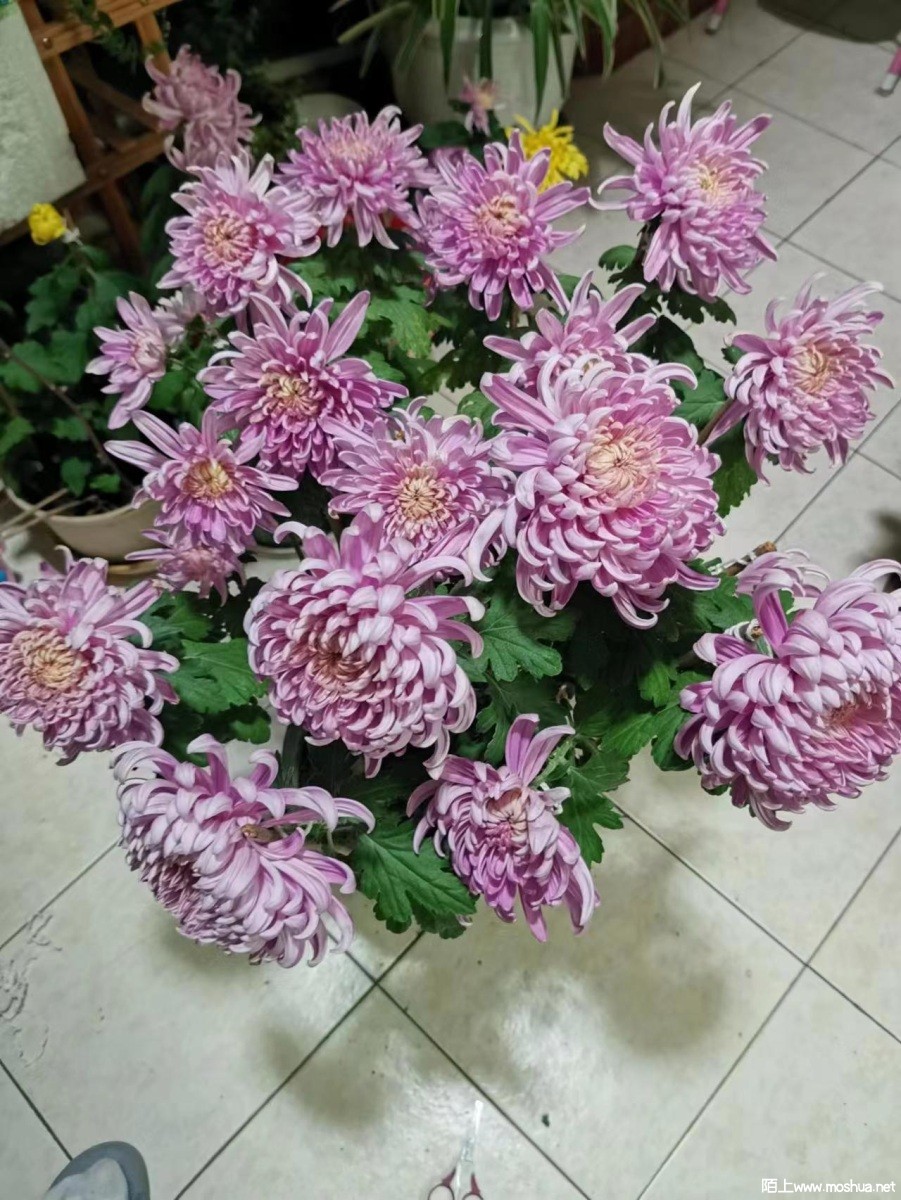 ΢��ͼƬ_20230820181254.jpg