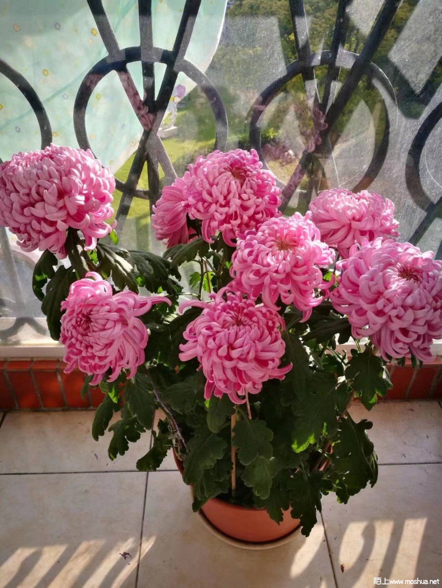 ΢��ͼƬ_20230820181258.jpg