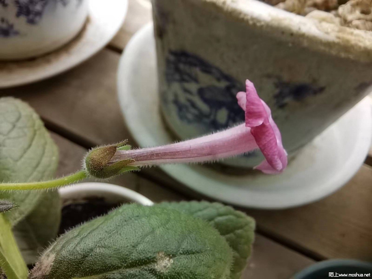 ΢��ͼƬ_20230916082455.jpg