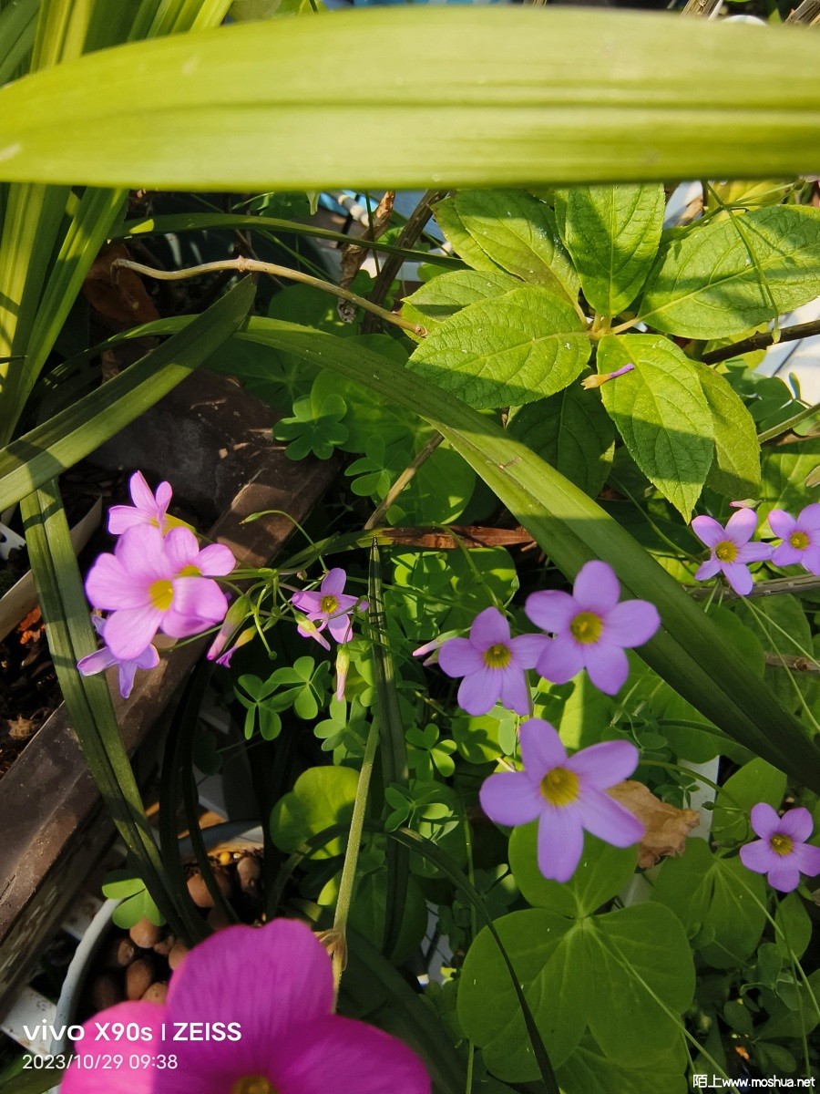 ΢��ͼƬ_20231103080429.jpg