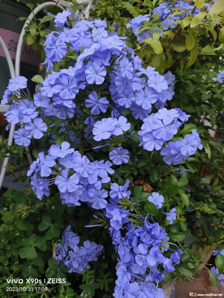 ΢��ͼƬ_20231103080450.jpg