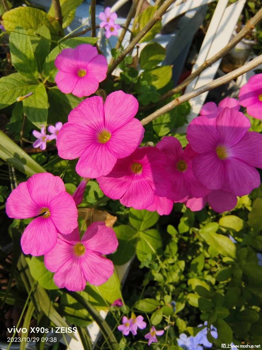 ΢��ͼƬ_20231103080504.jpg