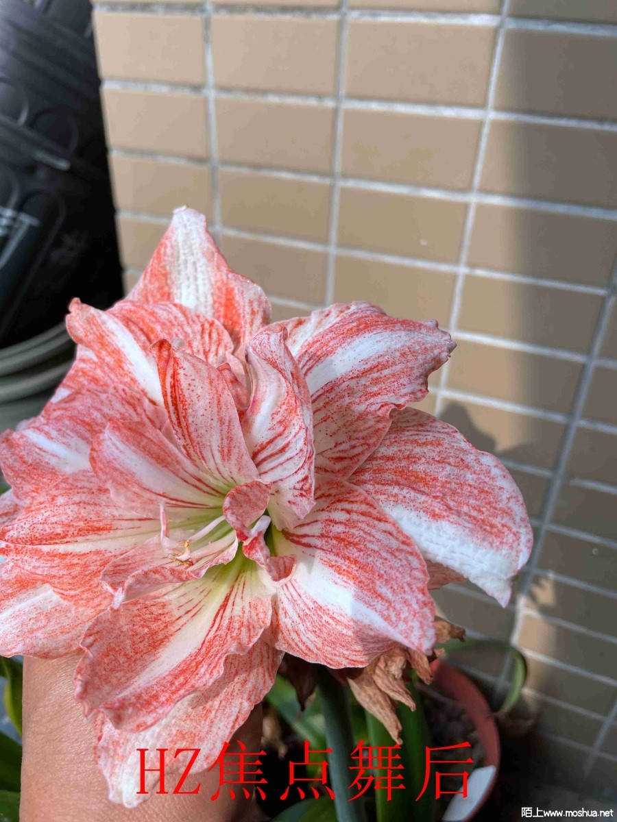 HZ�������042702.JPG