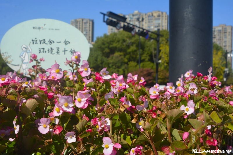 _DSC76470016.JPG
