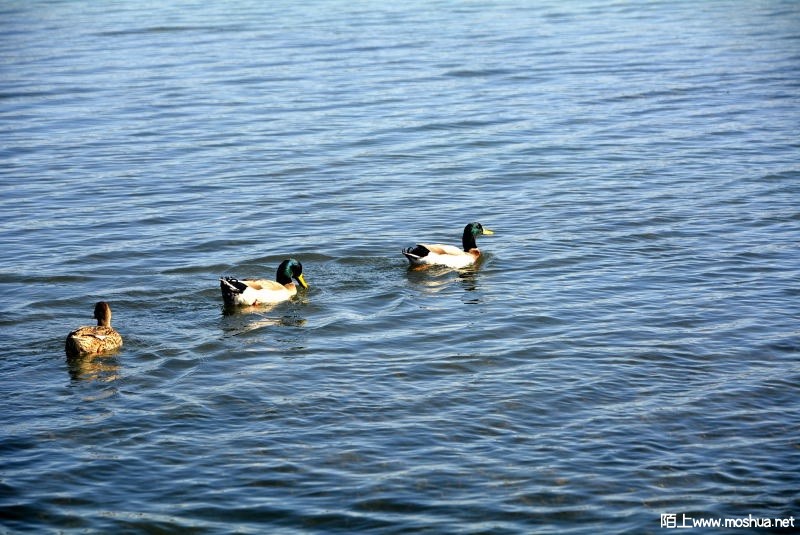 _DSC79860355.JPG