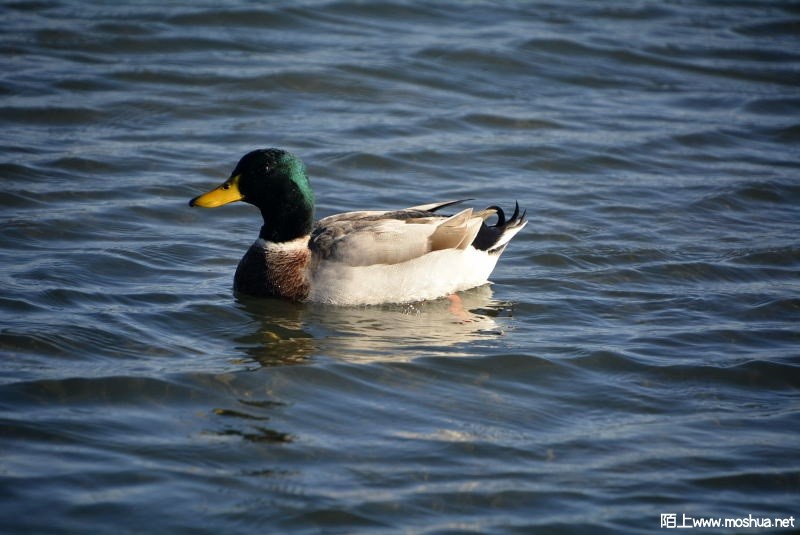 _DSC79940363.JPG