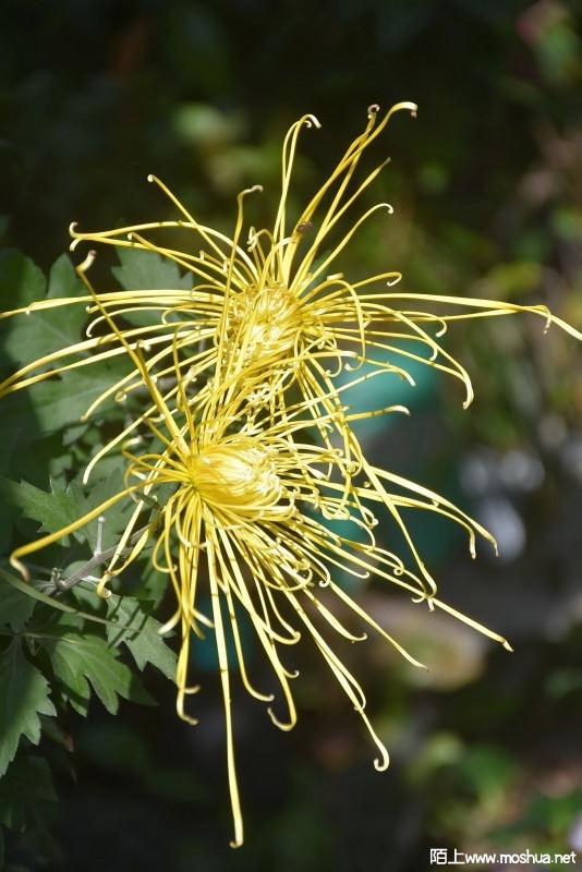 DSC_00140014.JPG