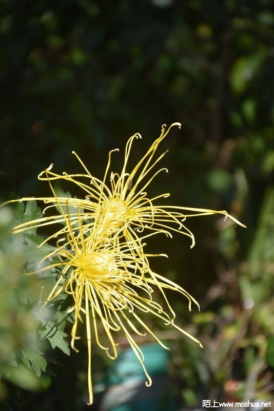 DSC_00210021.JPG