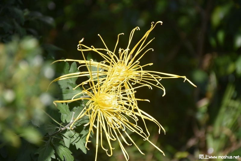 DSC_00220022.JPG