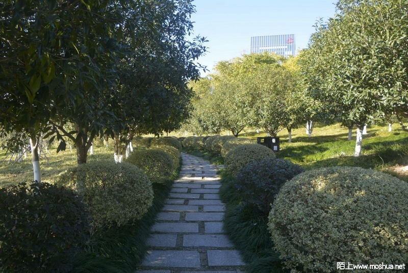 _DSC80020371.JPG