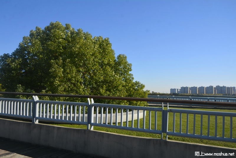_DSC80120381.JPG