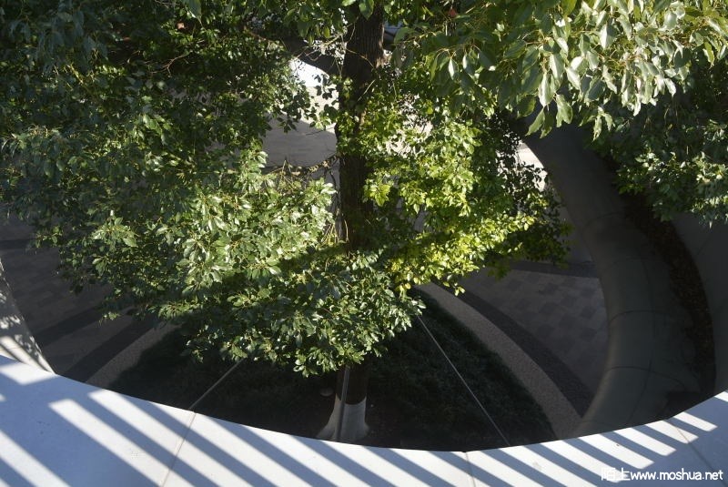 _DSC80130382.JPG