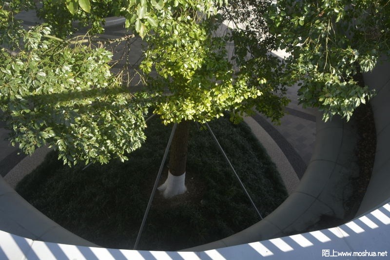 _DSC80150384.JPG