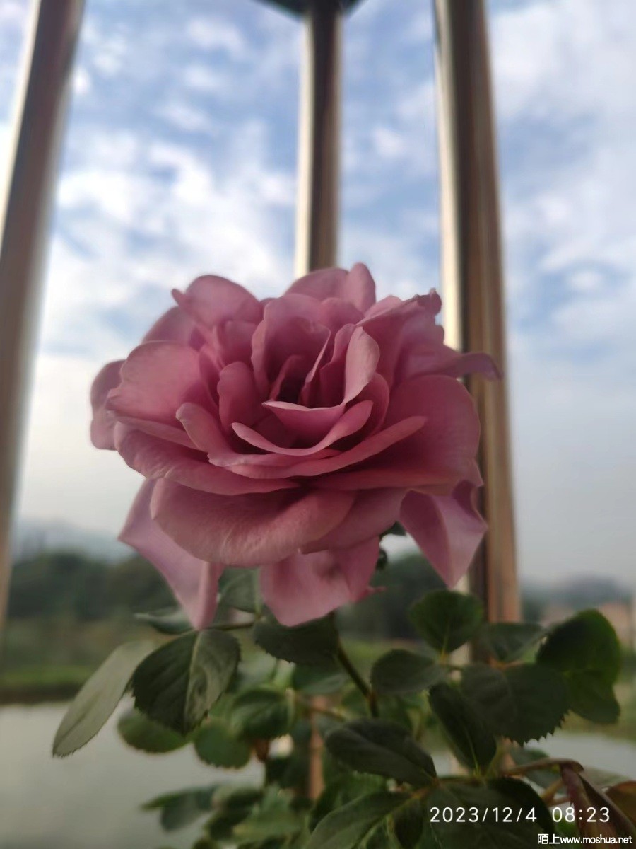 ΢��ͼƬ_20231204104711.jpg
