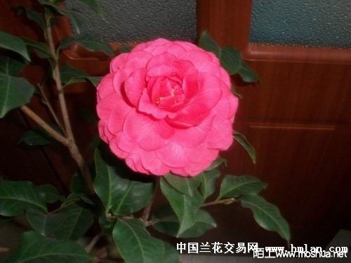 2014124221051_17061e10.jpg