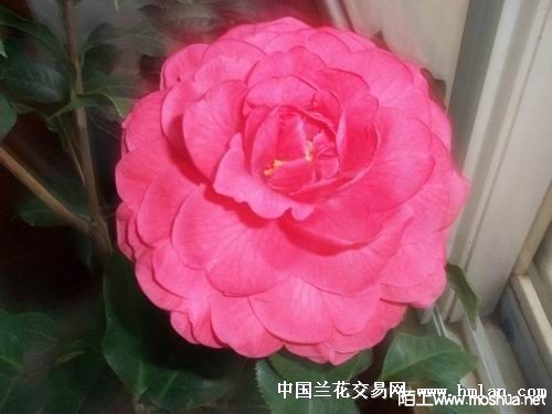 2014124221058_5e7244ea.jpg