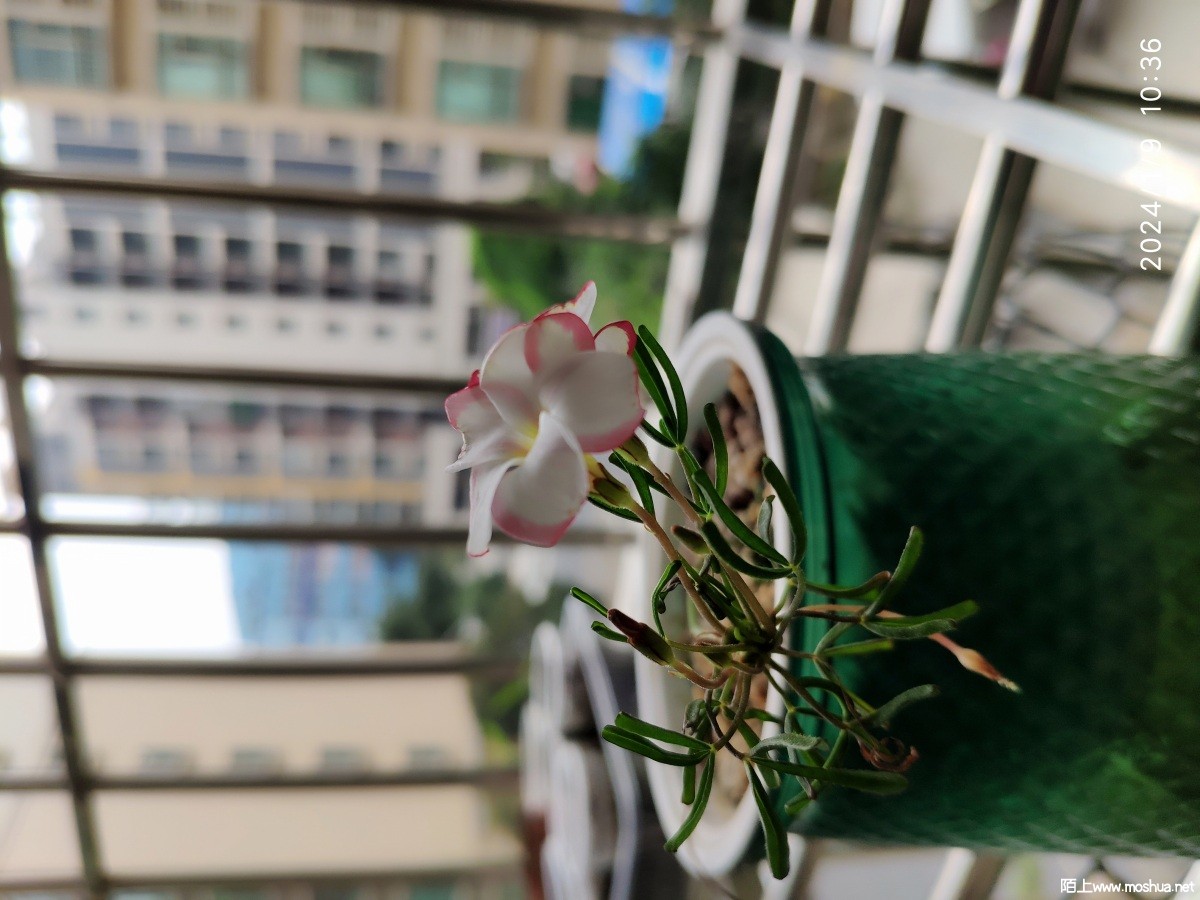 ΢��ͼƬ_20240110103616.jpg