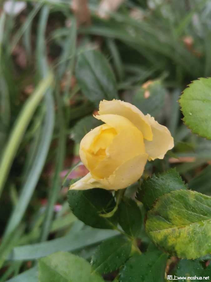 IMG_20240131_084609.jpg
