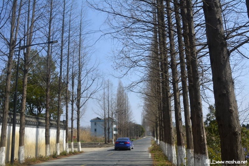 _DSC88080483.JPG