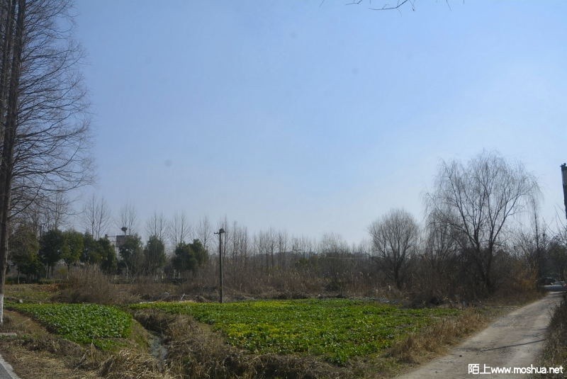 _DSC88120487.JPG