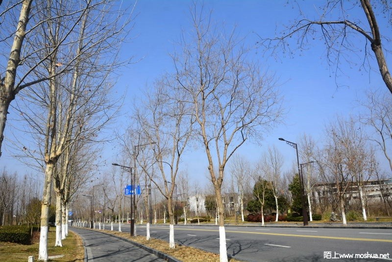 _DSC88180493.JPG