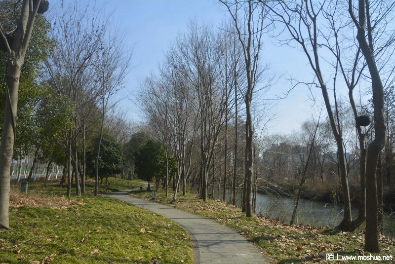 _DSC88360511.JPG