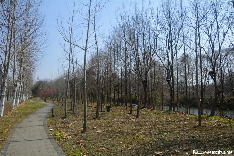 _DSC88250500.JPG